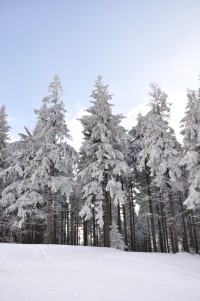 Wypad w góry:-)