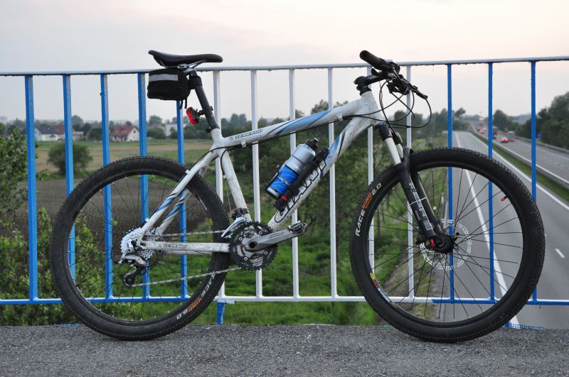 Giant Terrago